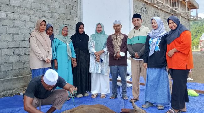 Semangat berbagi di Hari Raya Idul Adha 1447 Hijriah ditunjukkan SD Inpres Bajo, Kecamatan Sanana Utara, Kabupaten Kepulauan Sula, dengan menyalurkan satu ekor sapi kurban kepada masyarakat Desa Bajo