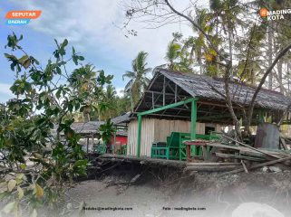 Kondisi terkini tempat jualan dan pohon yang tumbang akibat abrasi di pantai Desa Wai Ipa, Kecamatan Sanana. Foto : Madingkota.com