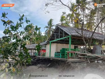 Kondisi terkini tempat jualan dan pohon yang tumbang akibat abrasi di pantai Desa Wai Ipa, Kecamatan Sanana. Foto : Madingkota.com
