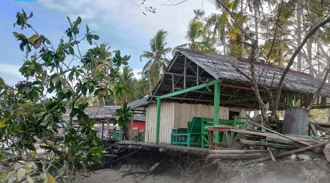 Kondisi terkini tempat jualan dan pohon yang tumbang akibat abrasi di pantai Desa Wai Ipa, Kecamatan Sanana. Foto : Madingkota.com
