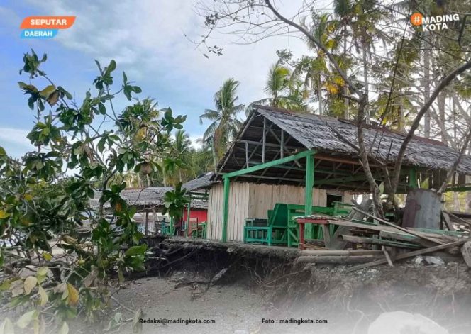 
					Kondisi terkini tempat jualan dan pohon yang tumbang akibat abrasi di pantai Desa Wai Ipa, Kecamatan Sanana. Foto : Madingkota.com