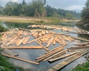 Pembalakan liar di desa Kawalo//ist