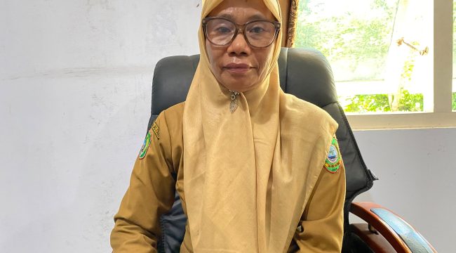 Kepala Disperindagkop dan UKM Kepulauan Sula Djena Tidore. Foto : Ist